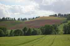 Colline toscane - Offerte 25 Aprile 2009 nel Chianti